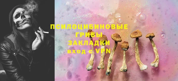 героин Алексин