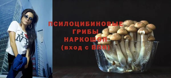 соль ск Алзамай