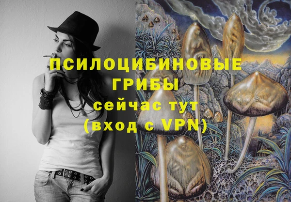 героин Алексин