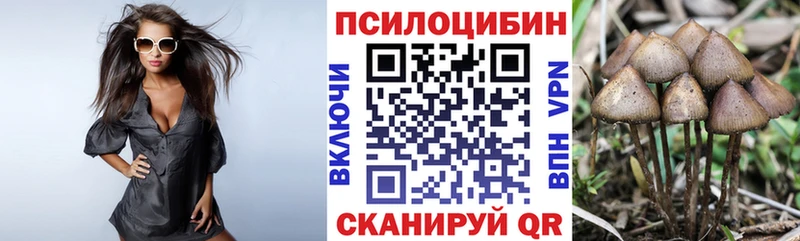 Псилоцибиновые грибы прущие грибы  Багратионовск 
