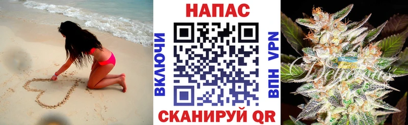закладки  Багратионовск  Конопля MAZAR 